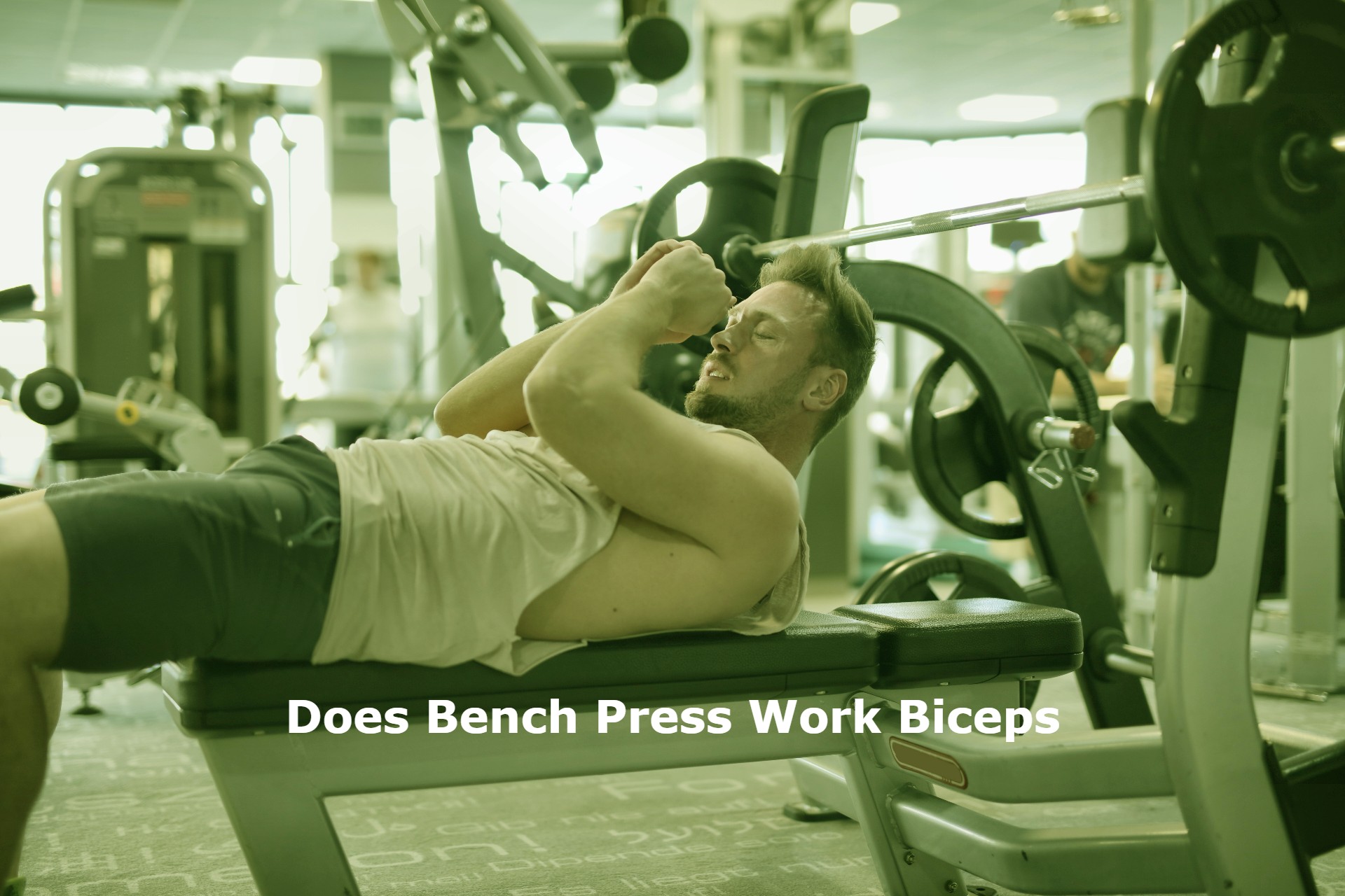 Does Bench Press Work Biceps? Find Out MaxFitArena