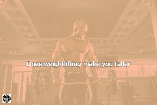 does weightlifting make you taller
