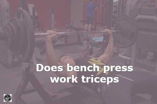 Does bench press work triceps (Expert View)