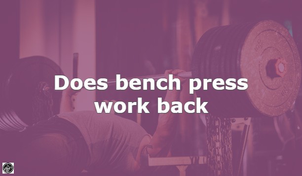 Does bench press work back? Let’s find out