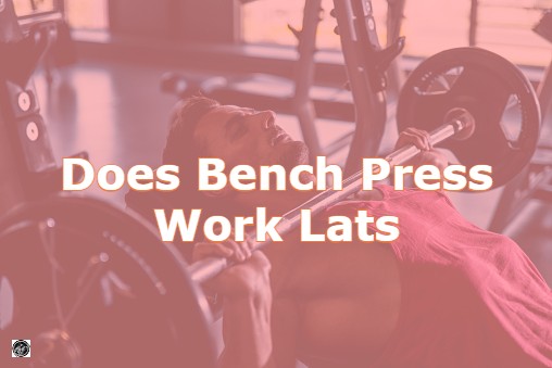 Does Bench Press Work Lats? What experts have to say!