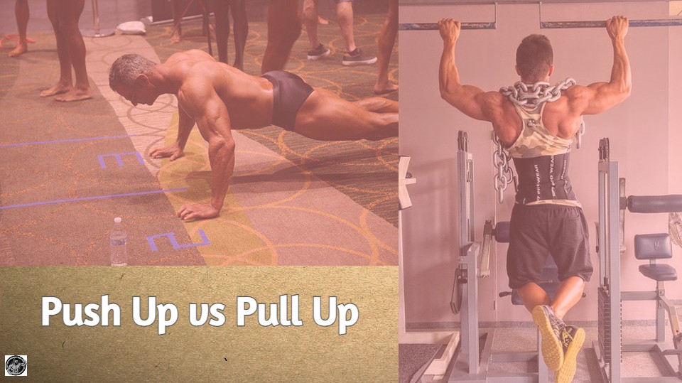 push up vs pull up