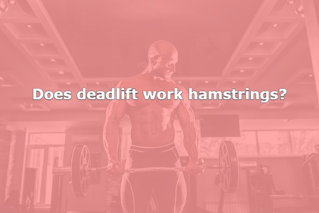 Does deadlift work hamstrings? Expert Review