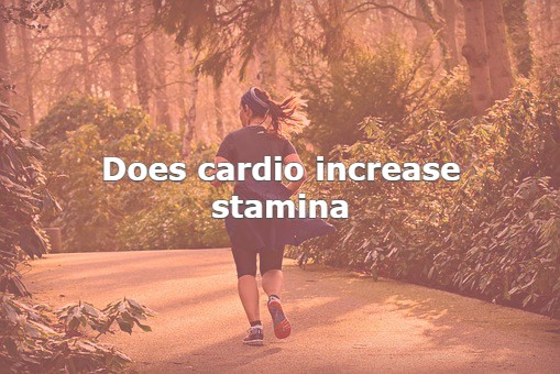 Do Cardio Exercises Increase Stamina?