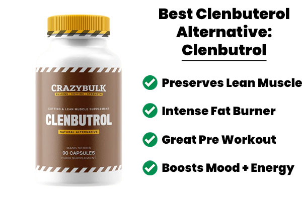 How long does it take to see results from clenbuterol?