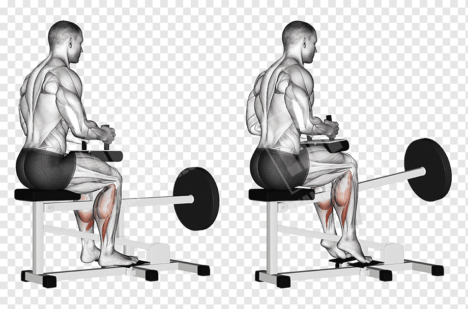 How Many Soleus Push-ups A Day?