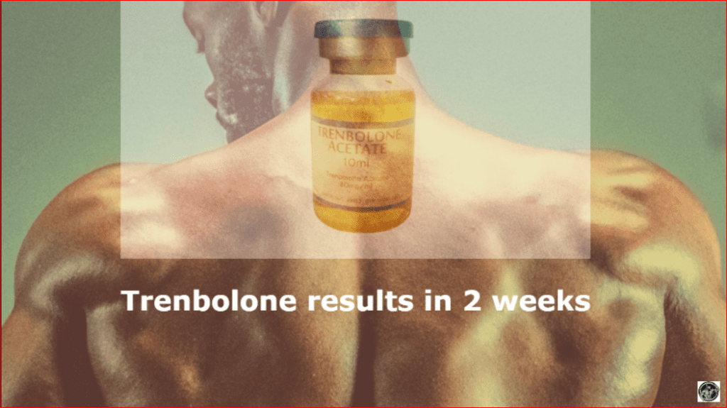 Trenbolone results in 2 weeks