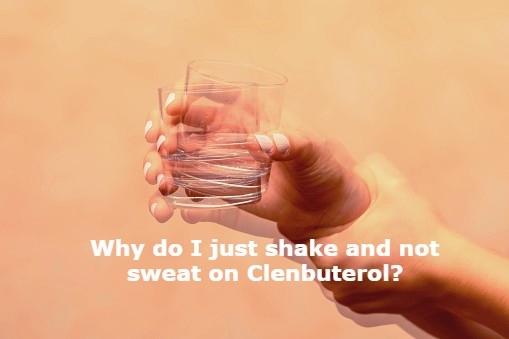 Why do I just shake and not sweat on Clenbuterol?